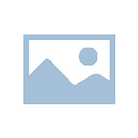 慢病毒操作手册